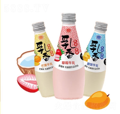 乳香乳酸菌飲品飲料