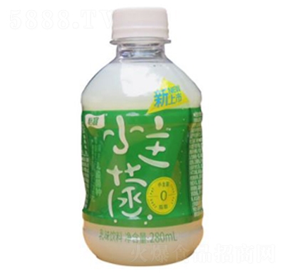 東洋小主菌綠瓶