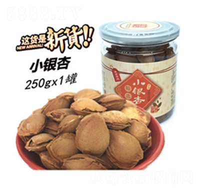 錦宏泰小銀杏小白杏