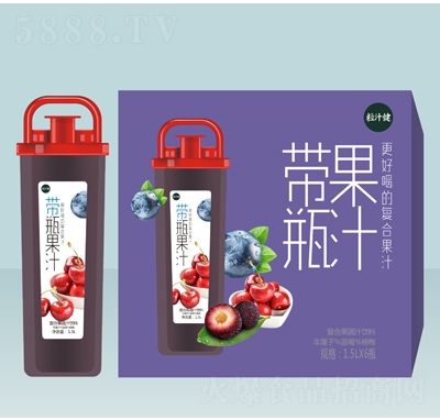 粒汁健帶瓶果汁復合果蔬汁車厘子藍莓楊梅1.5L×6瓶