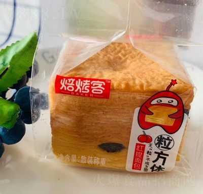 �����������w�t�����