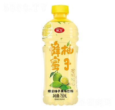 通飛蜂蜜柚子果味飲料750ml