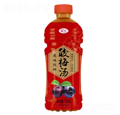 通飛酸梅湯750ml