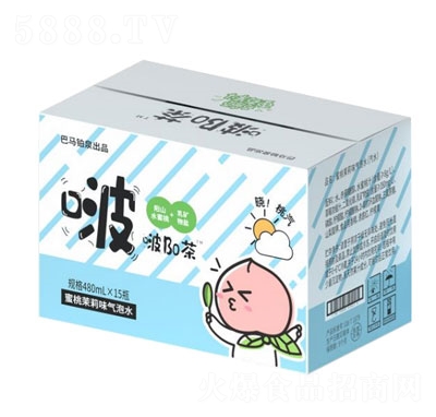 �Bo����������ζ����ˮ480mlX15