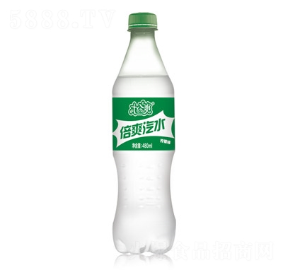 ʮˬˬˮζ480ml