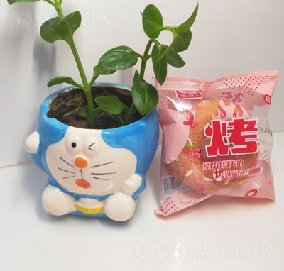 ��������ݮζ�ɿ�������Ȧ230g