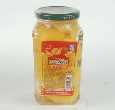 ���Ļ���S�ҹ��^860g