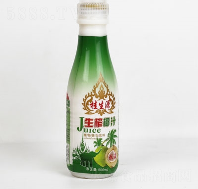 桂生源生榨椰汁500ml