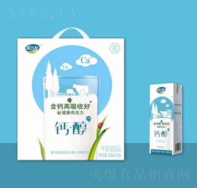 友芝友鈣醇牛奶飲品250mlX12
