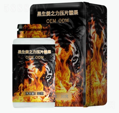 ��ʿ������֮����Ƭ�ǹ�