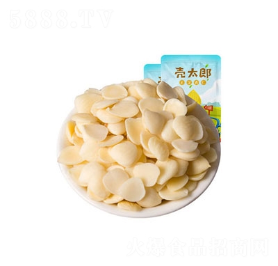 ��̫������Ƭ