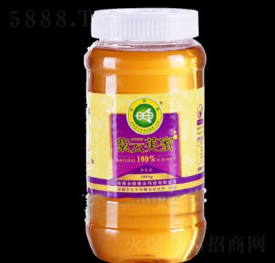 ���������Ӣ��