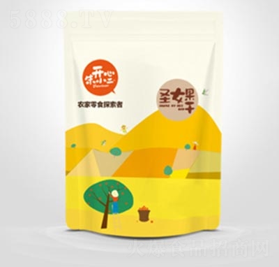 ��С��ʥŮ����