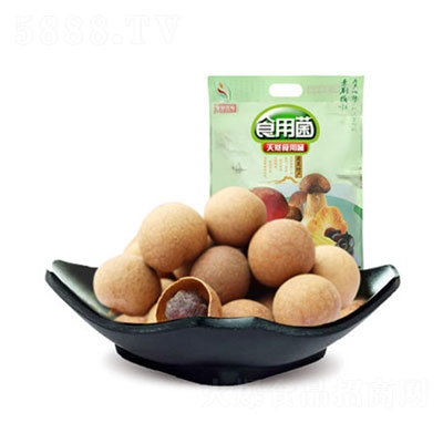 �H�e�������۸�