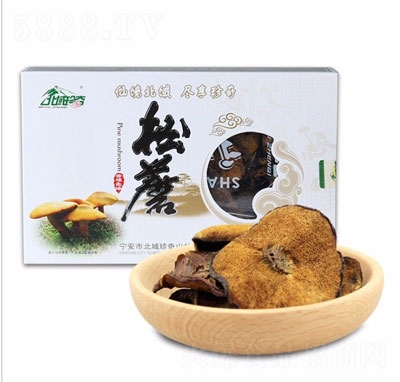 ���������Sţ�ξ�