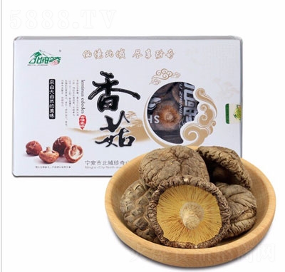 ��������ɽ���Y��