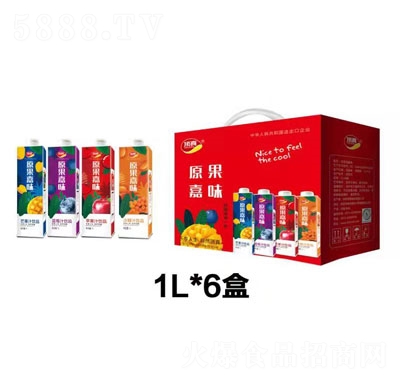 頂真原果嘉味果汁飲品1LX6