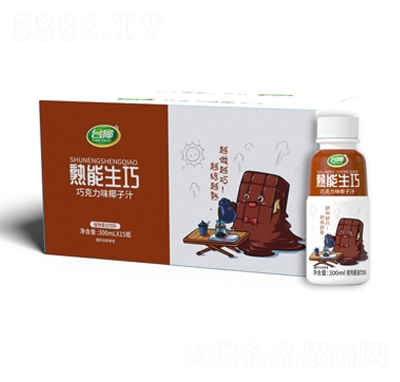 臺(tái)椰巧克力味椰子汁植物蛋白飲料300mlX15瓶招商代理