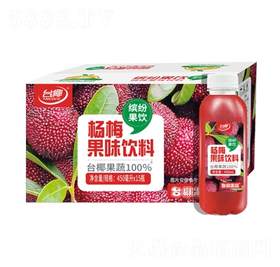 臺(tái)椰果蔬楊梅果味飲料450mlX15瓶