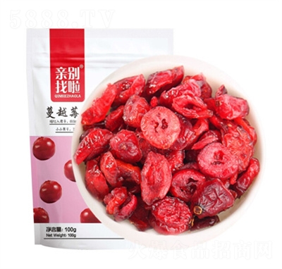 �H�e������Խݮ��100g���T����ˮ�������eʳƷ