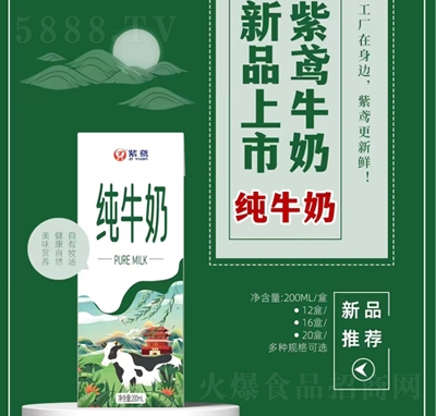 紫鳶純牛奶200毫升乳制飲品招商代理