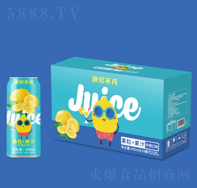 ��Ҋ��������+��֭���ʿ�ζ480mlX10��