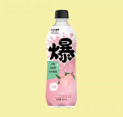 ���Ű���ζ�K�����ˮ480ml�������