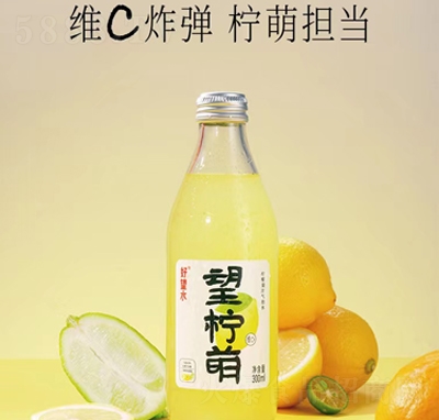 ����ˮ�����ș��ʚ��ݹ�֭����ƿ300ml�����ˮ