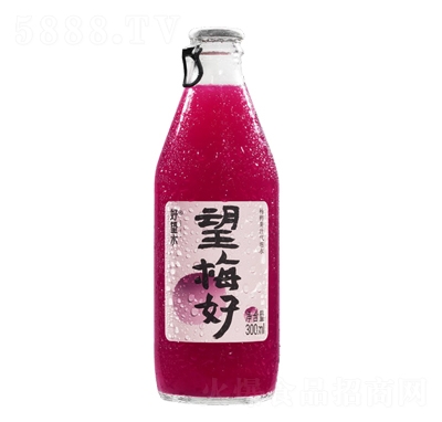 好望水望梅好楊梅氣泡果汁300ml飲料汽水