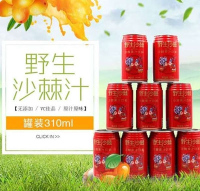 ���u(y��)Ұ��ɳ��֭����ļ��������