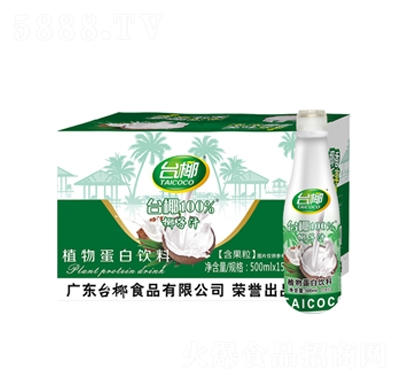 臺(tái)椰椰子汁植物蛋白飲料500mlX15瓶綠瓶裝
