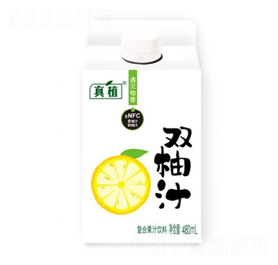 ��ֲ�p��֭480ml�ͺϹ�֭�W(w��ng)�t��֭����