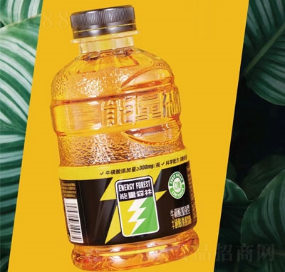 ����ɭ��������������Ϲ���������̣�ƿ��