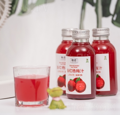 柚諾當(dāng)紅楊梅汁復(fù)合果汁網(wǎng)紅果汁招商300ml