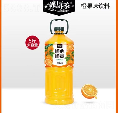 �\���������ĳ���ȹ�ζ���2.5L