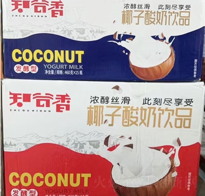 知谷香椰子酸奶飲品發(fā)酵酸奶