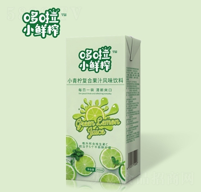 ����С�rեС�����ͺϹ�֭�Lζ���250ml