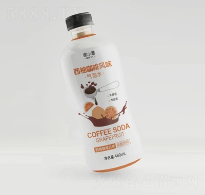 ��Сī���ֿ����L(f��ng)ζ����ˮ���̴���480ml