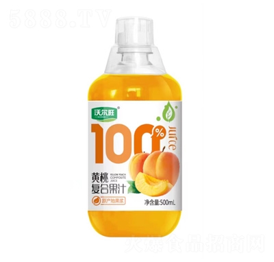 �֠����S�ҏͺϹ�֭500ml