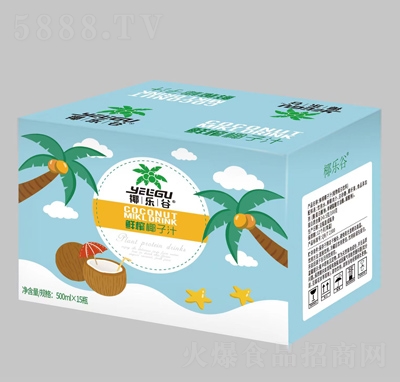 椰樂(lè)谷鮮榨椰子汁500ml×15瓶