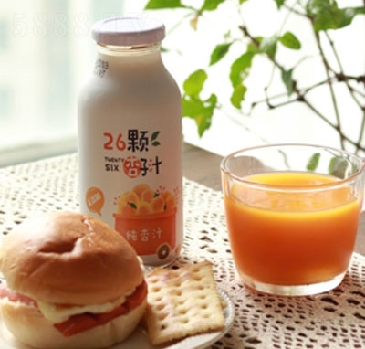 26顆杏子汁純杏汁(瓶)