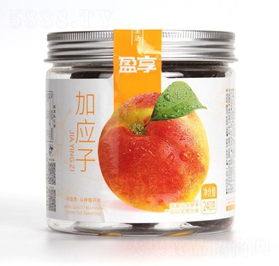 ӯ���ӑ�(y��ng)�ӹ������T����