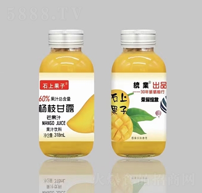 ʯ�Ϲ��ӗ�֦��¶â��֭��֭���318ml