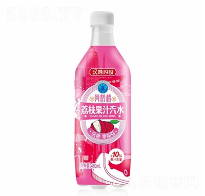 �hζ1981�S�Q����֦��֭��ˮ̼�����480ml