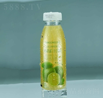 泰利小青檸汁果汁飲料300ml