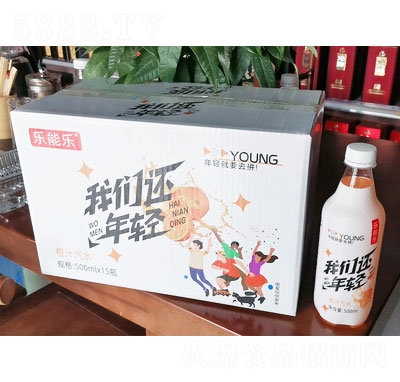 ���ܘ���֭��ˮ500mlX15