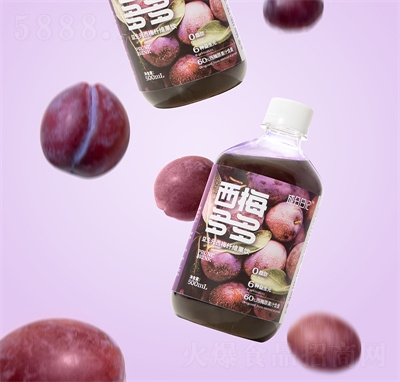 �ɷ���ӛ��÷������÷֭��֭500mlƿ�b