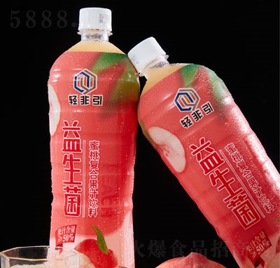 �p�������������ҏ�(f��)�Ϲ�֭���