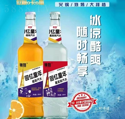 ���޳�ζ+���eζ��ˮ̼�����500ml