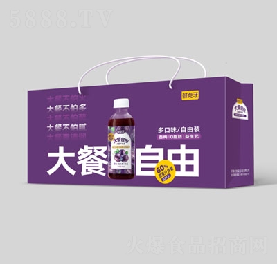 �r�c�Ӵ��������÷֭��(f��)�Ϲ�֭500mlx6ƿx2�������